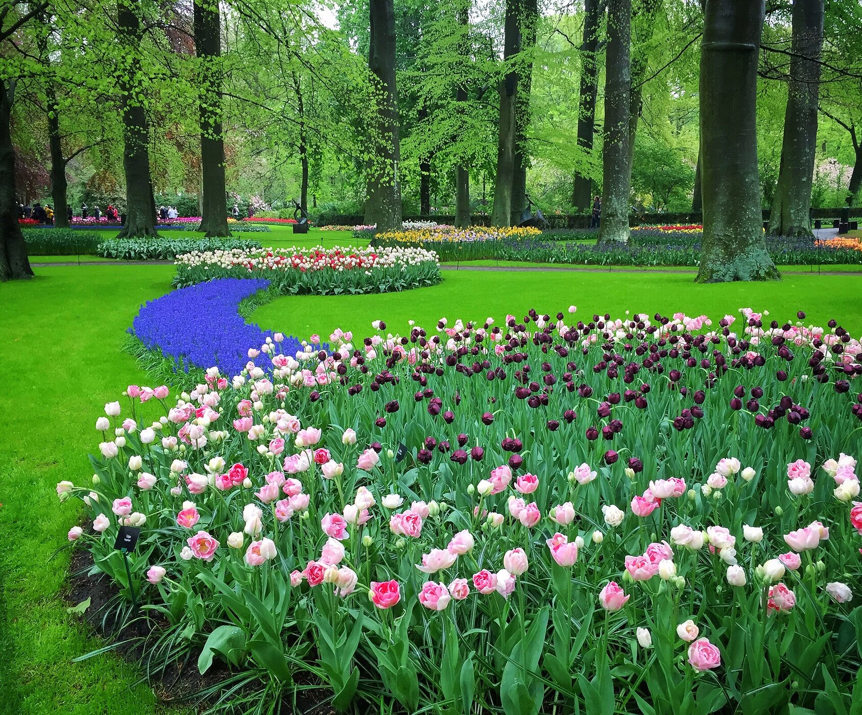 Netherlands travel guide image 3