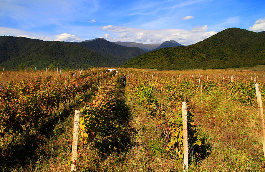 Kakheti